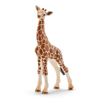 14751 | Giraffe Calf