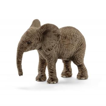 14763 | African Elephant Calf