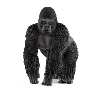 14770 | Gorilla
