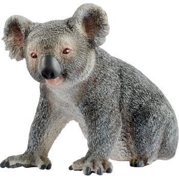 14815 | Koala