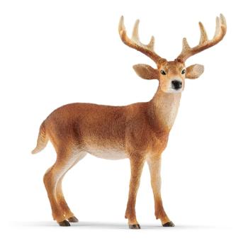14818 | White-Tailed Buck