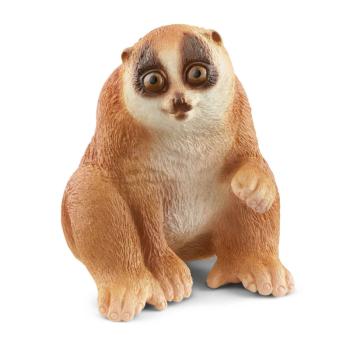 14852 | Slow Loris