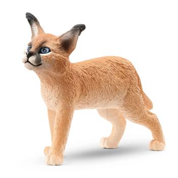 14868 | Caracal Baby