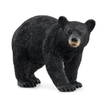 14869 | American Black Bear