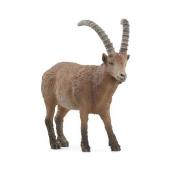 14873 | Ibex
