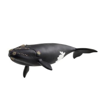 14878 | North Atlantic Right Whale