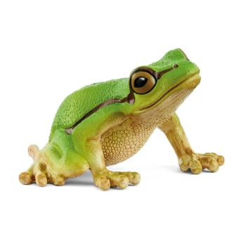 14882 | European Tree Frog
