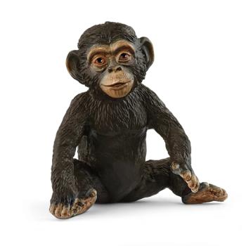 14884 | Chimpanzee Cub