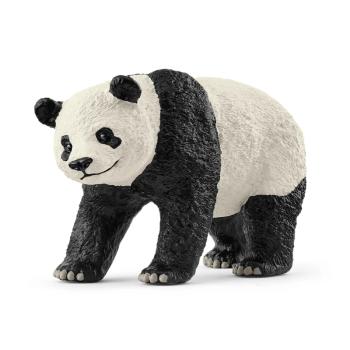 14885 | Giant Panda