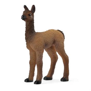 14890 | Llama Foal