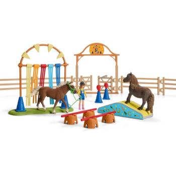 42481 | Pony Agility Training