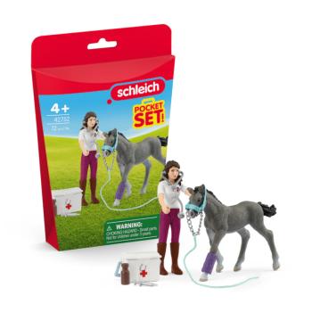 42752 | Horse Care Playset With Trakehner Foal