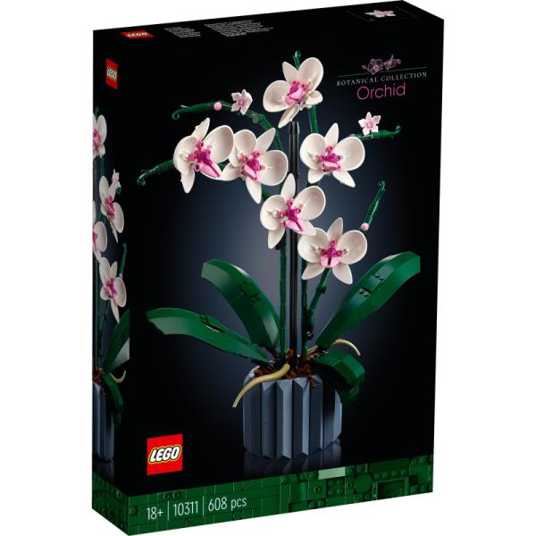 10311 | Orchid
