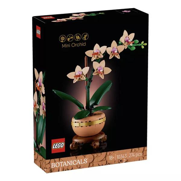 10343 | Mini Orchid