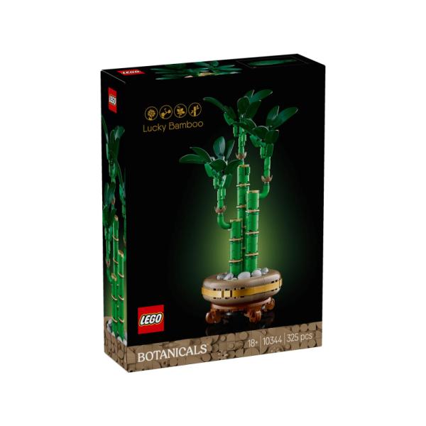 10344 | Lucky Bamboo