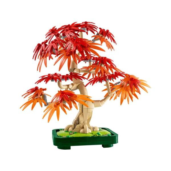 10348 | Japanese Red Maple Bonsai Tree