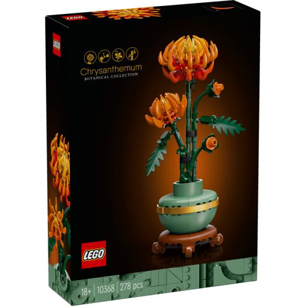 10368 | Chrysanthemum