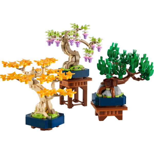 10373 | Mini Bonsai Trees