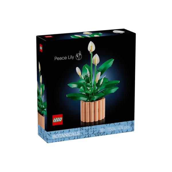 11504 | Potted Peace Lily