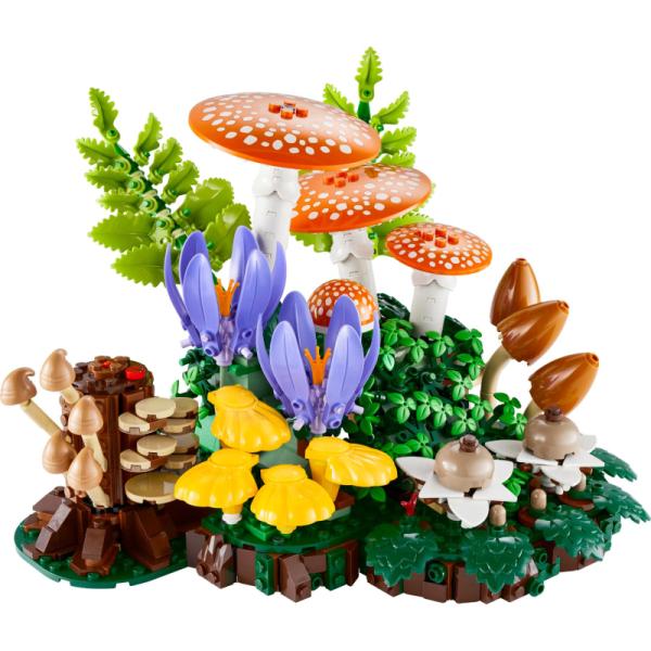 11505 | Woodland Mushrooms