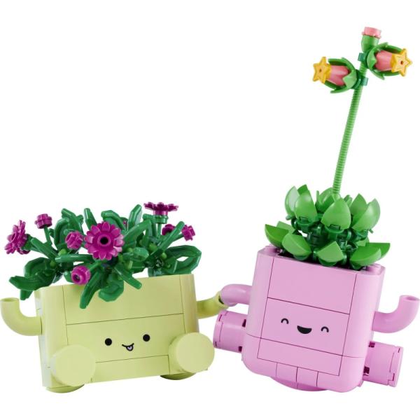 11506 | Rocking Plants