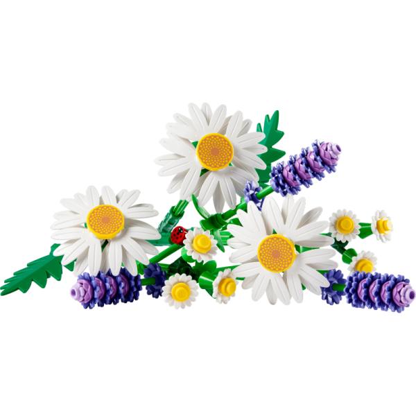 11508 | Daisies and Lavender