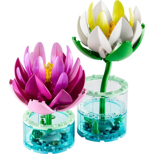 11511 | Water Lilies