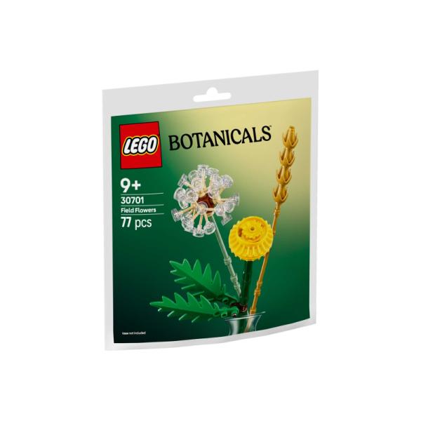 30701 | Field Flowers (Paper Bag)
