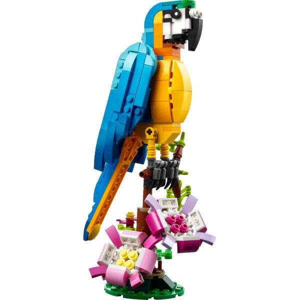 31136 | Exotic Parrot