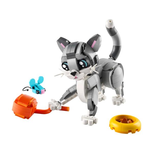 31163 | Playful Cat