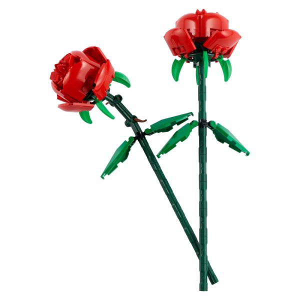 40460 | Roses