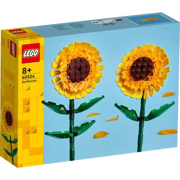 40524 | Sunflowers