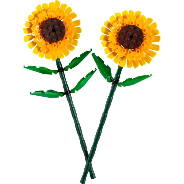 40524 | Sunflowers