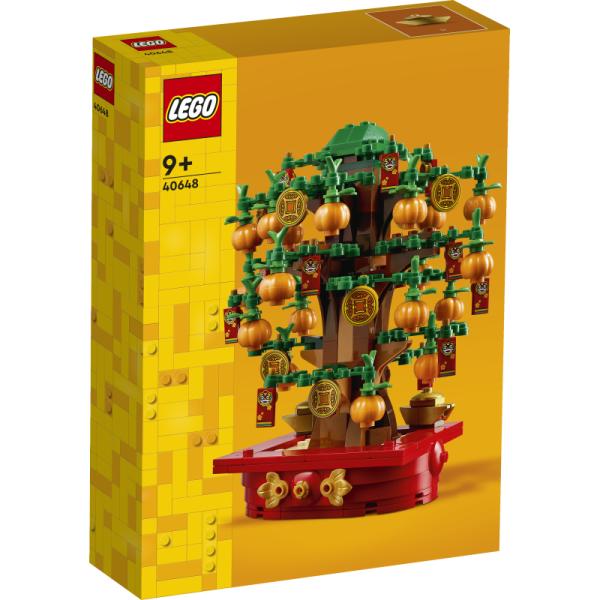 40648 | Money Tree