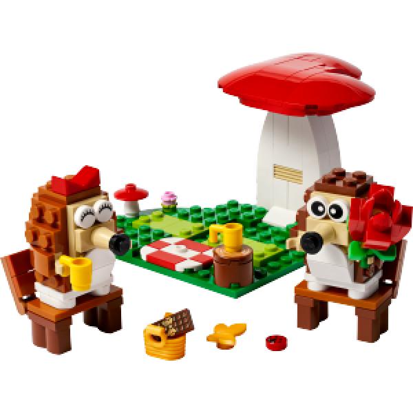 40711 | Hedgehog Picnic Date