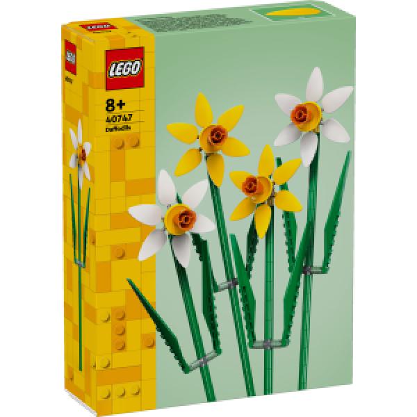 40747 | Daffodils