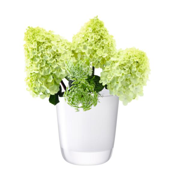 L.S.A. | G775-18-391 | Otto Vase H 18 cm
