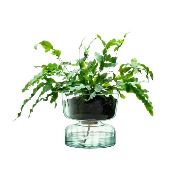 L.S.A. | G1579-22-161 | Canopy Self Watering Planter Vase 22cm