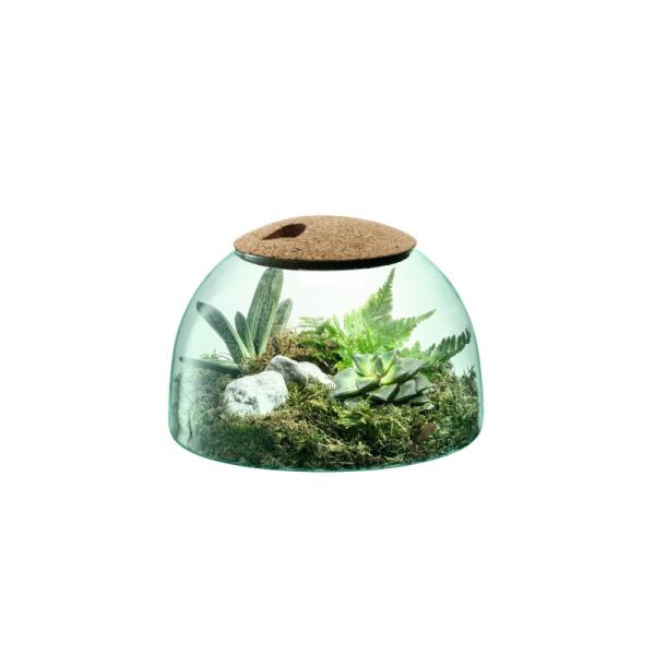 L.S.A. | G1580-16-161 | Canopy Closed Garden 16.5cm