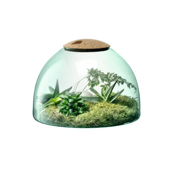 L.S.A. | G1580-22-161 | Canopy Closed Garden 22cm