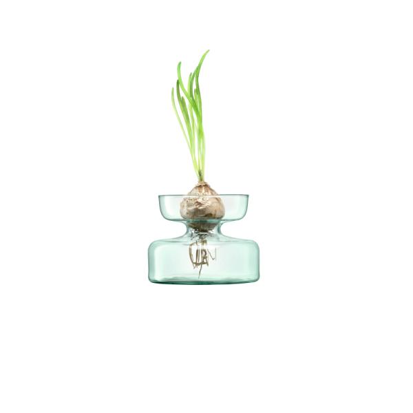L.S.A. | G1581-10-161 | Canopy Vase/Bulb Planter 10cm
