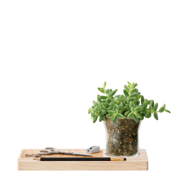 L.S.A. | G1675-00-301 | Plateau Planter Set L28 cm Clear/Ash/Cork *
