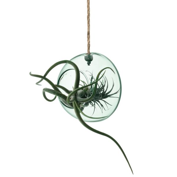 L.S.A. | G1696-12-161 | Canopy Hanging Planter ø 12 cmRecycled