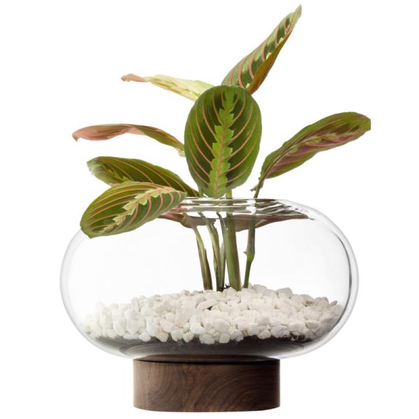 L.S.A. | G1718-19-301 | Oblate Vase/Lantern H19,5 cm/Ø28 cm Clear/Walnut **