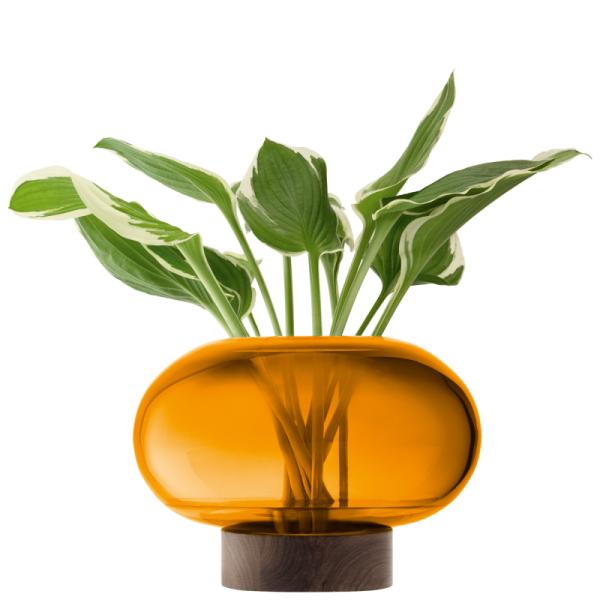 L.S.A. | G1718-19-835 | Oblate Vase/Lantern H19,5 cm/Ø28 cm Amber/Walnut **