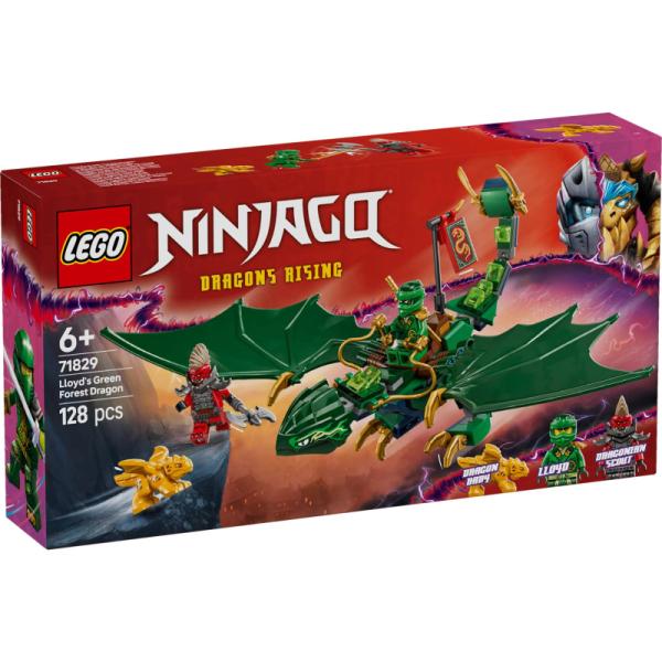 71829 | Lloyd's Green Forest Dragon