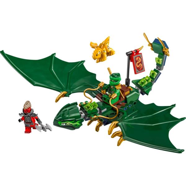 71829 | Lloyd's Green Forest Dragon