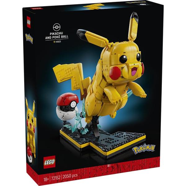 72152 | Pikachu and Poké Ball