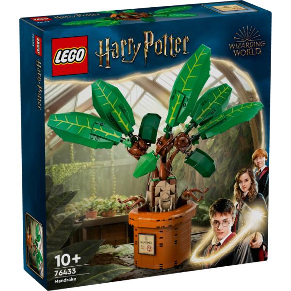 76433 | Mandrake