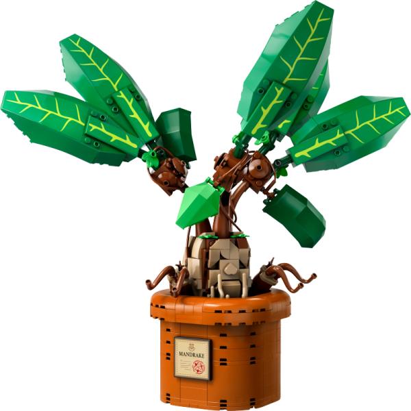 76433 | Mandrake